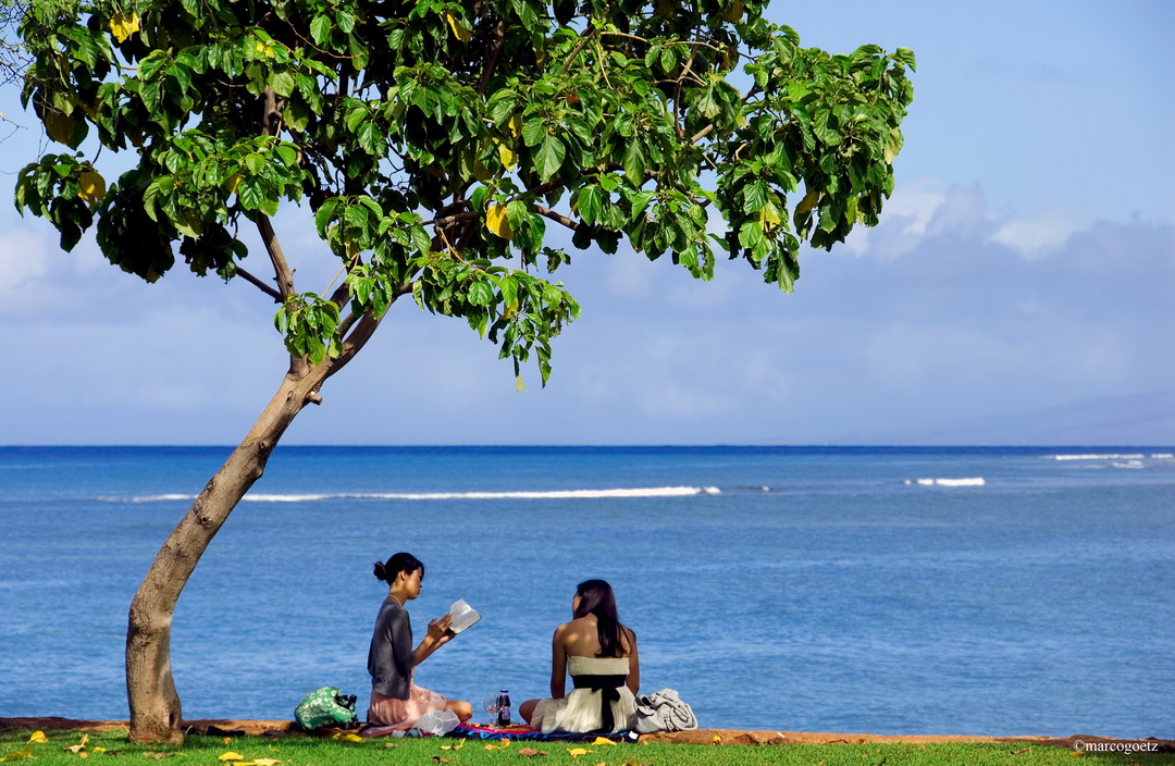 FRIENDS LAHAINA HAWAII USA 